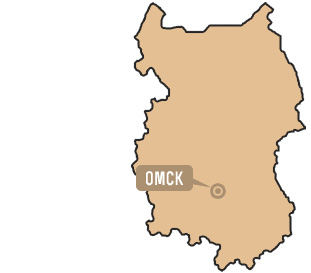 Омская область Омская область